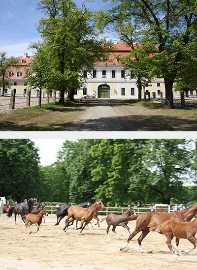 Exkursion am 21.06.2025 nach Torgau und Graditz