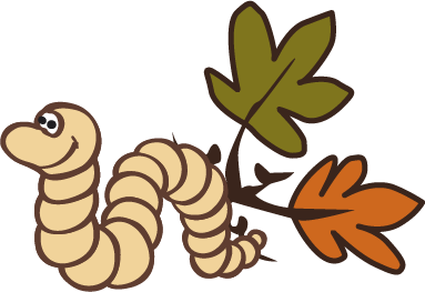 Begasung mit Sulfurylfluorid weiterhin möglich | Sächsischer Holzschutzverband e.V.